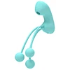 Dingfoo IPX7 Clitoral Suction Stimulator With Three Vibrating Beads